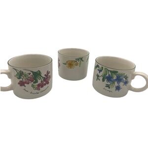 Sue Zipkin Sakura Majesticware Geranium Floral Mugs Set of 3 Tea‎ Cups 1997 EUC